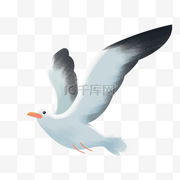 翅膀图片_灰色飞翔的海鸥元素