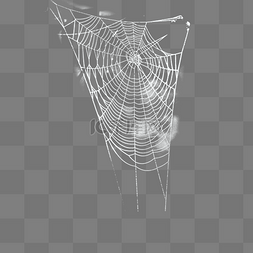 蜘蛛图片_蜘蛛网西方鬼节蜘蛛网元素