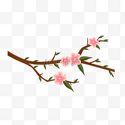 春天的桃花图片_粉色的桃花手绘插画