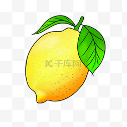 黄色柠檬手绘插画