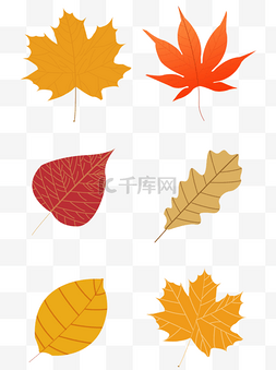 黄色秋季素材图片_秋叶之黄色金色红色秋天秋季枫叶