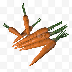 蔬菜系列营养美味的新鲜胡萝卜