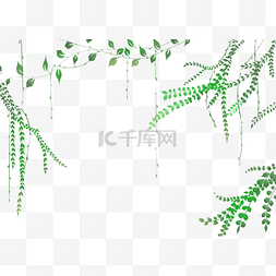 花草树木图片_花草树木花藤插画