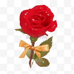 一朵美丽的玫瑰花插画