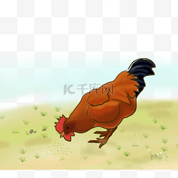 手绘动物爪子图片_草地上啄食的大公鸡