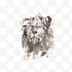 非洲狮王水墨画PNG免抠素材