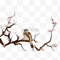 树枝手绘矢量图片_中国风古典手绘花鸟矢量图