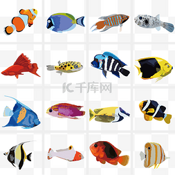 手绘热带鱼装饰插图