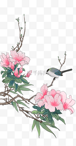 粉色手绘牡丹花图片_植物卡通手绘插画