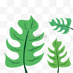 树叶环圈图片_矢量手绘绿色棕榈叶素材图