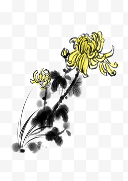 植物黄菊花开手绘插画