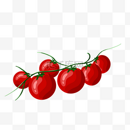 番茄西红柿红色圆形可爱卡通