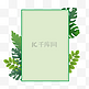 矩形植物海报边框