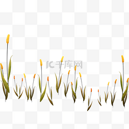 创意手绘植物插图图片_手绘矢量芦苇植物