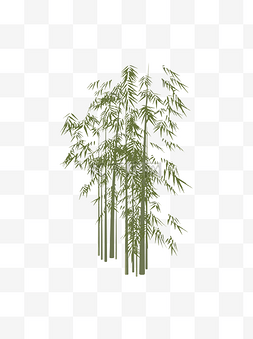 手绘绿植图片_扁平简约手绘风绿色植物竹子竹林