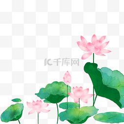 花小清新手绘图片_手绘夏天荷花荷叶插画免抠