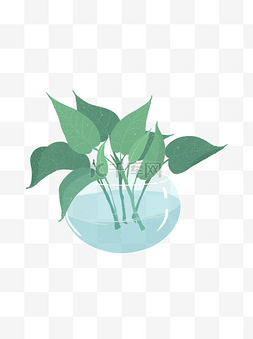 绿色小清新植物玻璃花盆设计