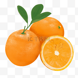 橙子手绘png