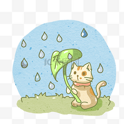 可爱猫咪雨中