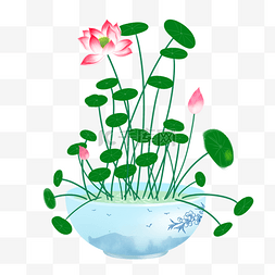 中国风碗莲荷花手绘插画