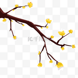 新鲜春天的花枝插画