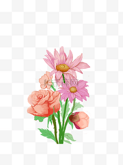 粉红色的花玫瑰花与菊花手绘简约