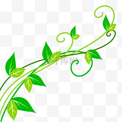 蔓藤平面图片_绿色植物叶子蔓藤