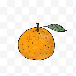 橘子手绘橘子图片_卡通手绘简约橘子