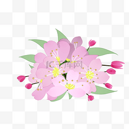 樱花淡粉色插画装饰