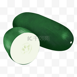 绿色冬瓜蔬菜果蔬插画素材