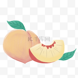 水果桃子矢量图片_手绘水果桃子插画矢量图