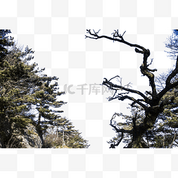 黄花山图片_高耸如云的大山茂密的植被