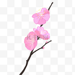 新中式风格粉色梅花盛开手绘