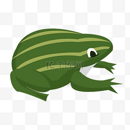 两栖船坞图片_绿色条纹青蛙
