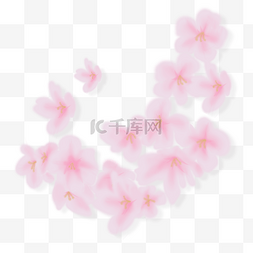 手绘樱花图片_樱花漂浮PNG素材