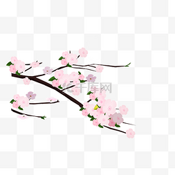 手绘美丽的樱花桃花