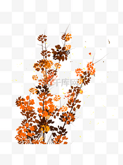 秋叶素材图片_秋季秋树植物秋叶手绘元素