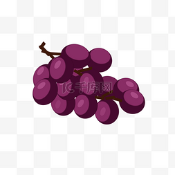 紫色的葡萄图片图片_ 紫色的葡萄 