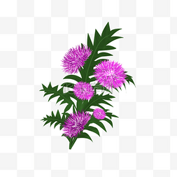 紫色手绘花艺图片_紫色花朵植物