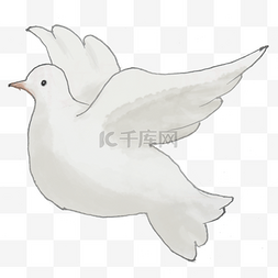 世界和平ps图片_世界和平手绘和平鸽png
