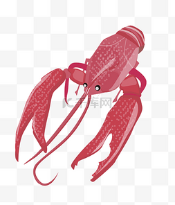 美味的小龙虾图片_手绘红色小龙虾