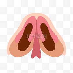 手绘人体器官人体五官鼻子肌肉结