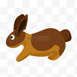 哺乳类动物图片_一只兔子长耳朵