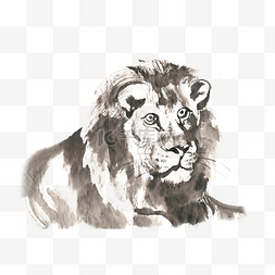 注视的狮子水墨画PNG免抠素材