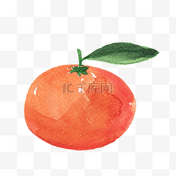 矢量手绘橘子水果素材