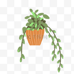 手绘绿色小盆栽吊兰垂下来的植物