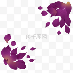 紫色花瓣漂浮图片_紫色玫瑰花瓣插图