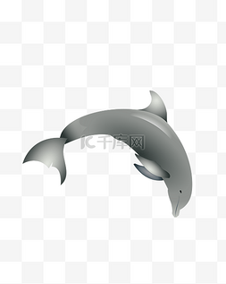 小鲸鱼喷水图片_矢量手绘卡通鲸鱼