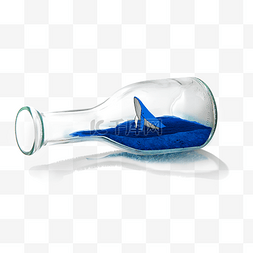 小海豚在瓶子里游泳