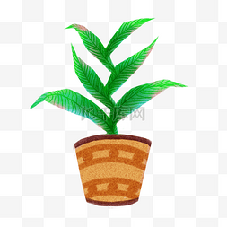 手绘绿色盆栽植物插画